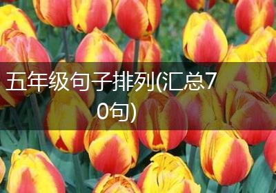 五年级句子排列(汇总70句)