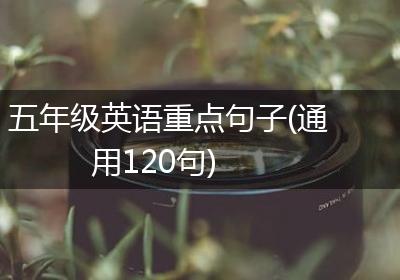五年级英语重点句子(通用120句)