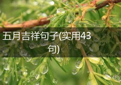 五月吉祥句子(实用43句)