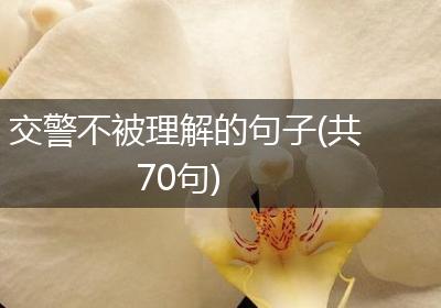 交警不被理解的句子(共70句)