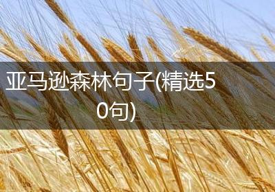 亚马逊森林句子(精选50句)