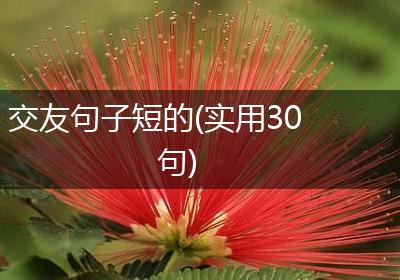 交友句子短的(实用30句)