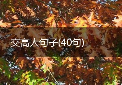交高人句子(40句)
