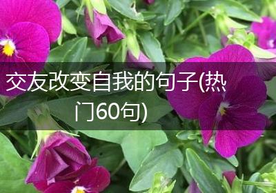交友改变自我的句子(热门60句)