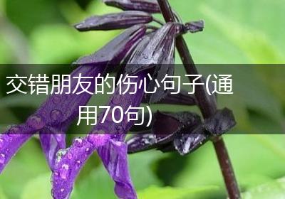 交错朋友的伤心句子(通用70句)