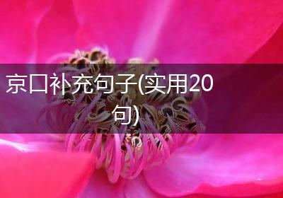 京口补充句子(实用20句)