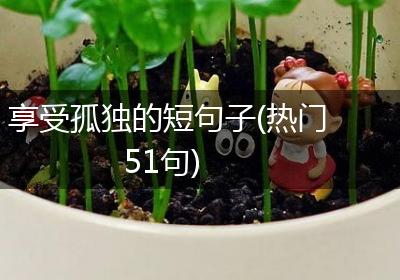 享受孤独的短句子(热门51句)
