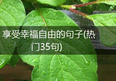 享受幸福自由的句子(热门35句)