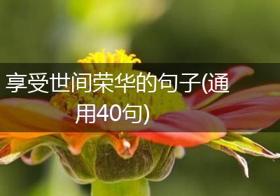 享受世间荣华的句子(通用40句)