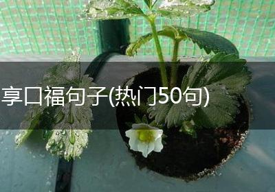享口福句子(热门50句)