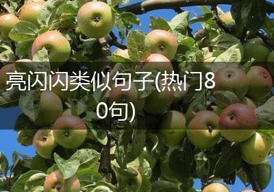 亮闪闪类似句子(热门80句)