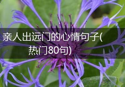 亲人出远门的心情句子(热门80句)