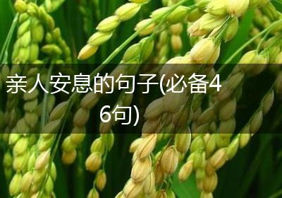 亲人安息的句子(必备46句)