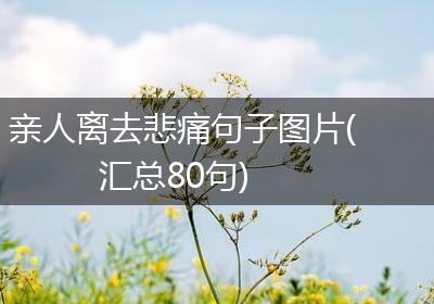 亲人离去悲痛句子图片(汇总80句)