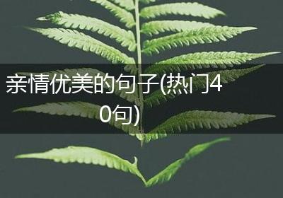 亲情优美的句子(热门40句)