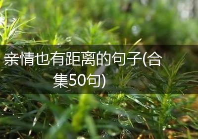 亲情也有距离的句子(合集50句)