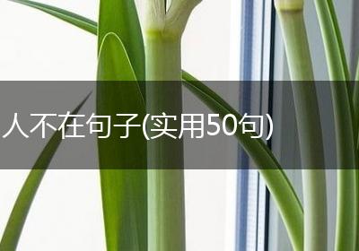 人不在句子(实用50句)