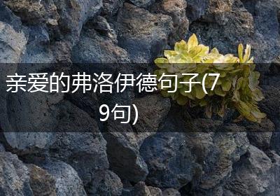 亲爱的弗洛伊德句子(79句)