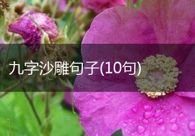 九字沙雕句子(10句)