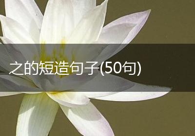 之的短造句子(50句)