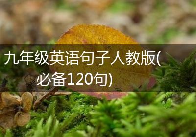 九年级英语句子人教版(必备120句)
