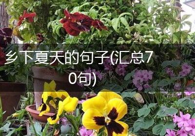 乡下夏天的句子(汇总70句)