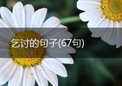 乞讨的句子(67句)
