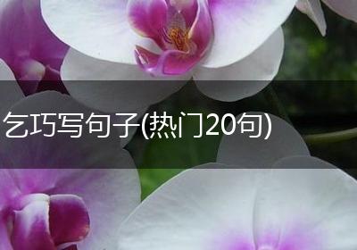 乞巧写句子(热门20句)