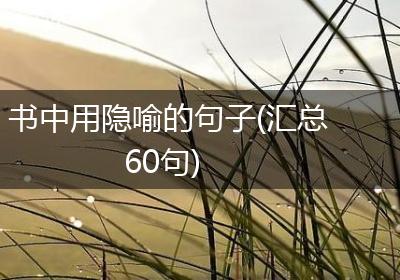 书中用隐喻的句子(汇总60句)