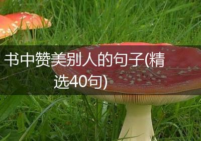 书中赞美别人的句子(精选40句)
