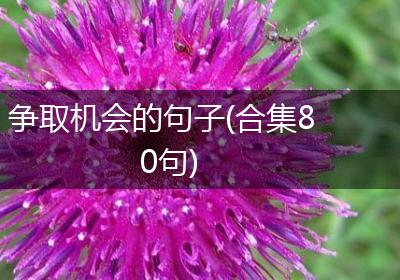 争取机会的句子(合集80句)