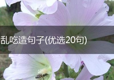 乱吃造句子(优选20句)