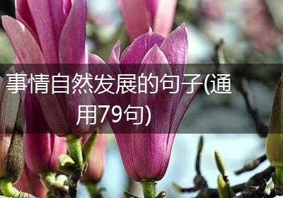 事情自然发展的句子(通用79句)