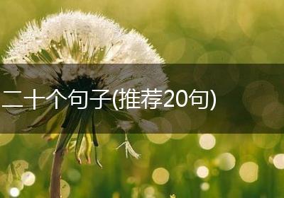 二十个句子(推荐20句)