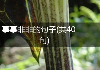 事事非非的句子(共40句)