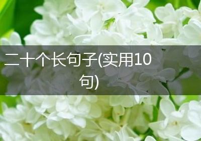 二十个长句子(实用10句)