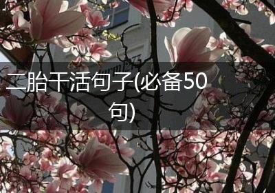 二胎干活句子(必备50句)