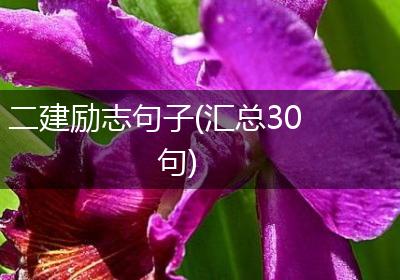 二建励志句子(汇总30句)