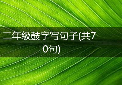 二年级鼓字写句子(共70句)