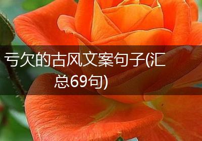 亏欠的古风文案句子(汇总69句)