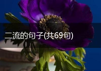 二流的句子(共69句)