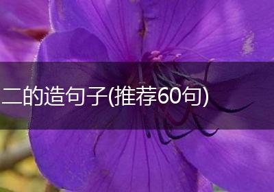 二的造句子(推荐60句)