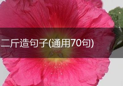 二斤造句子(通用70句)