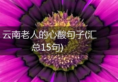 云南老人的心酸句子(汇总15句)