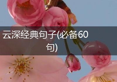 云深经典句子(必备60句)