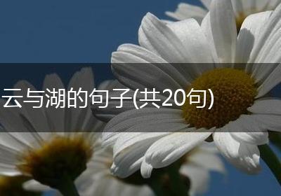 云与湖的句子(共20句)