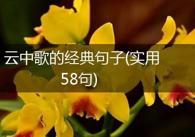 云中歌的经典句子(实用58句)
