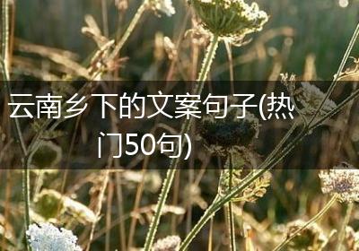 云南乡下的文案句子(热门50句)