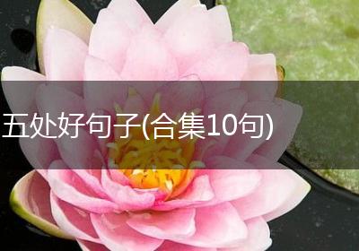 五处好句子(合集10句)