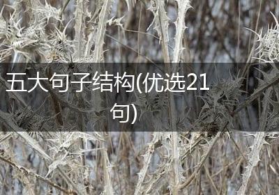 五大句子结构(优选21句)
